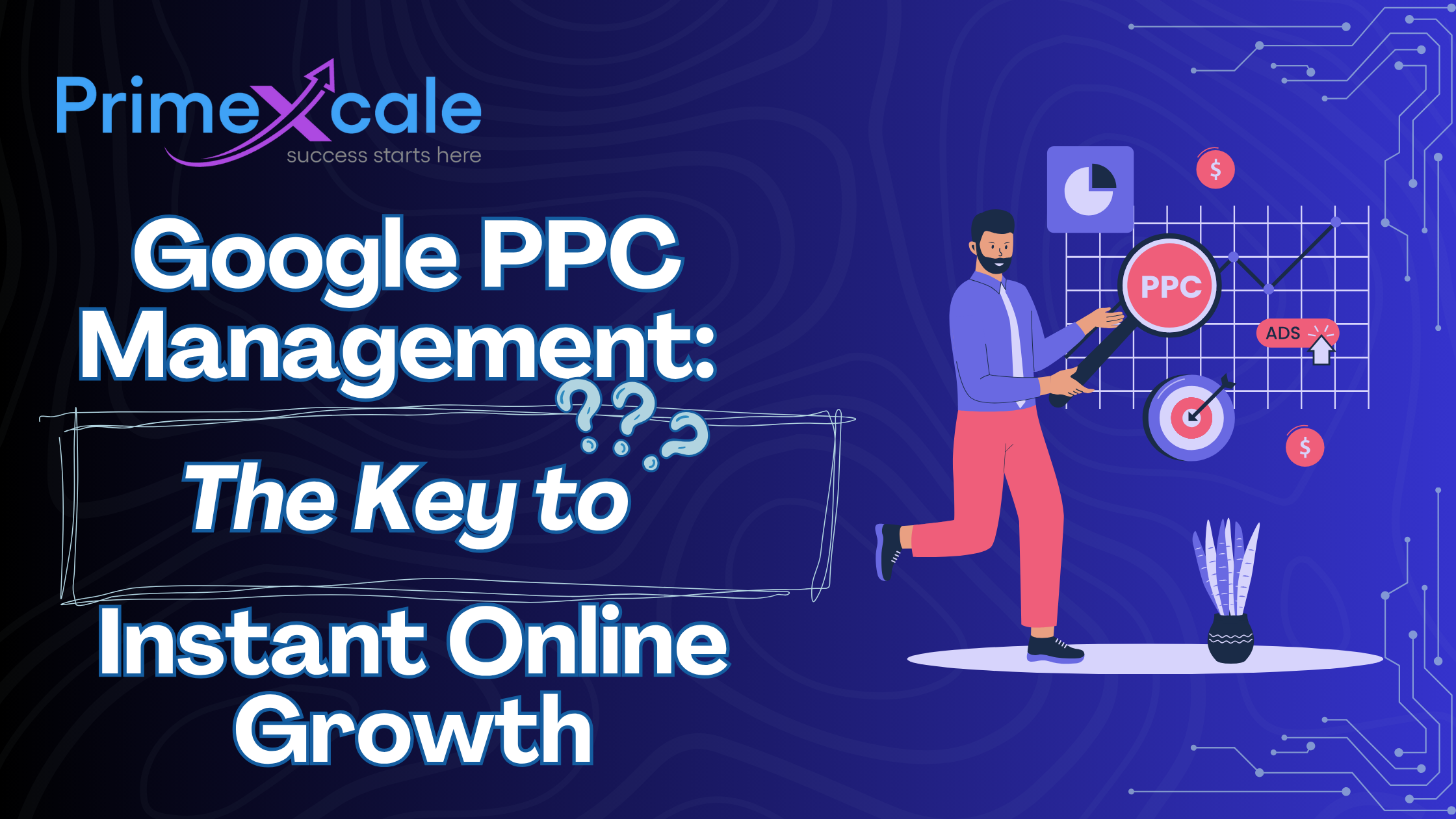 Google PPC Management