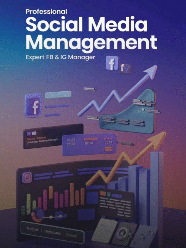 SEO Company in Jaipur | Digital Marketing & Ranking Experts